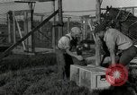 Standbild mink Pelz Farm Thiensville Wisconsin USA, 1934, aus Sekunde 29 historischem Filmmaterial Videoclip 65675029774
