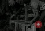 Standbild mink Pelz Farm Thiensville Wisconsin USA, 1934, aus Sekunde 32 historischem Filmmaterial Videoclip 65675029774