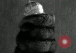 Standbild mink Pelz Farm Thiensville Wisconsin USA, 1934, aus Sekunde 44 historischem Filmmaterial Videoclip 65675029774