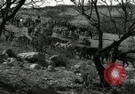Standbild unbändigen Pferden Sasabe Arizona USA, 1934, aus Sekunde 3 historischem Filmmaterial Videoclip 65675029776