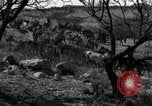 Standbild unbändigen Pferden Sasabe Arizona USA, 1934, aus Sekunde 4 historischem Filmmaterial Videoclip 65675029776