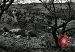 Standbild unbändigen Pferden Sasabe Arizona USA, 1934, aus Sekunde 5 historischem Filmmaterial Videoclip 65675029776