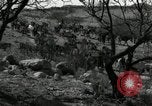 Standbild unbändigen Pferden Sasabe Arizona USA, 1934, aus Sekunde 6 historischem Filmmaterial Videoclip 65675029776