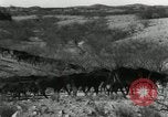 Standbild unbändigen Pferden Sasabe Arizona USA, 1934, aus Sekunde 7 historischem Filmmaterial Videoclip 65675029776