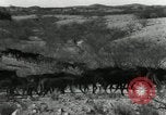 Standbild unbändigen Pferden Sasabe Arizona USA, 1934, aus Sekunde 8 historischem Filmmaterial Videoclip 65675029776