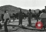 Standbild unbändigen Pferden Sasabe Arizona USA, 1934, aus Sekunde 19 historischem Filmmaterial Videoclip 65675029776