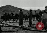 Standbild unbändigen Pferden Sasabe Arizona USA, 1934, aus Sekunde 20 historischem Filmmaterial Videoclip 65675029776