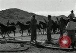 Standbild unbändigen Pferden Sasabe Arizona USA, 1934, aus Sekunde 21 historischem Filmmaterial Videoclip 65675029776