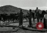 Standbild unbändigen Pferden Sasabe Arizona USA, 1934, aus Sekunde 22 historischem Filmmaterial Videoclip 65675029776