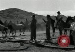 Standbild unbändigen Pferden Sasabe Arizona USA, 1934, aus Sekunde 23 historischem Filmmaterial Videoclip 65675029776