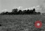 Standbild unbändigen Pferden Sasabe Arizona USA, 1934, aus Sekunde 28 historischem Filmmaterial Videoclip 65675029776