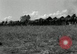 Standbild unbändigen Pferden Sasabe Arizona USA, 1934, aus Sekunde 29 historischem Filmmaterial Videoclip 65675029776