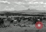 Standbild unbändigen Pferden Sasabe Arizona USA, 1934, aus Sekunde 33 historischem Filmmaterial Videoclip 65675029776