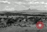 Standbild unbändigen Pferden Sasabe Arizona USA, 1934, aus Sekunde 35 historischem Filmmaterial Videoclip 65675029776