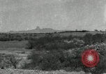 Standbild unbändigen Pferden Sasabe Arizona USA, 1934, aus Sekunde 41 historischem Filmmaterial Videoclip 65675029776