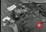 Immagine di I prigionieri di guerra tedeschi Westenfeld Germania, 1944, secondo 44 filmato di repertorio 65675029779