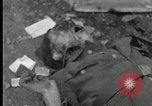 Immagine di I prigionieri di guerra tedeschi Westenfeld Germania, 1944, secondo 45 filmato di repertorio 65675029779