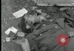 Immagine di I prigionieri di guerra tedeschi Westenfeld Germania, 1944, secondo 46 filmato di repertorio 65675029779