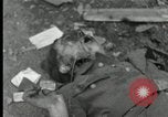 Immagine di I prigionieri di guerra tedeschi Westenfeld Germania, 1944, secondo 48 filmato di repertorio 65675029779