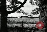 Standbild landwirtschaftlichen Tätigkeiten Southville Kentucky USA, 1950, aus Sekunde 3 historischem Filmmaterial Videoclip 65675029785