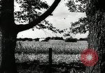 Standbild landwirtschaftlichen Tätigkeiten Southville Kentucky USA, 1950, aus Sekunde 4 historischem Filmmaterial Videoclip 65675029785