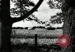 Standbild landwirtschaftlichen Tätigkeiten Southville Kentucky USA, 1950, aus Sekunde 5 historischem Filmmaterial Videoclip 65675029785