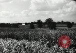 Standbild landwirtschaftlichen Tätigkeiten Southville Kentucky USA, 1950, aus Sekunde 6 historischem Filmmaterial Videoclip 65675029785