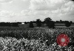 Standbild landwirtschaftlichen Tätigkeiten Southville Kentucky USA, 1950, aus Sekunde 7 historischem Filmmaterial Videoclip 65675029785