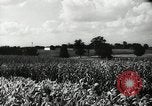 Standbild landwirtschaftlichen Tätigkeiten Southville Kentucky USA, 1950, aus Sekunde 8 historischem Filmmaterial Videoclip 65675029785