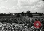 Standbild landwirtschaftlichen Tätigkeiten Southville Kentucky USA, 1950, aus Sekunde 9 historischem Filmmaterial Videoclip 65675029785