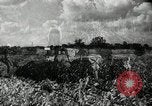 Standbild landwirtschaftlichen Tätigkeiten Southville Kentucky USA, 1950, aus Sekunde 10 historischem Filmmaterial Videoclip 65675029785