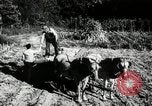 Standbild landwirtschaftlichen Tätigkeiten Southville Kentucky USA, 1950, aus Sekunde 13 historischem Filmmaterial Videoclip 65675029785