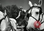 Standbild landwirtschaftlichen Tätigkeiten Southville Kentucky USA, 1950, aus Sekunde 18 historischem Filmmaterial Videoclip 65675029785