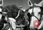Standbild landwirtschaftlichen Tätigkeiten Southville Kentucky USA, 1950, aus Sekunde 19 historischem Filmmaterial Videoclip 65675029785