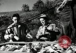 Standbild landwirtschaftlichen Tätigkeiten Southville Kentucky USA, 1950, aus Sekunde 20 historischem Filmmaterial Videoclip 65675029785