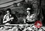 Standbild landwirtschaftlichen Tätigkeiten Southville Kentucky USA, 1950, aus Sekunde 21 historischem Filmmaterial Videoclip 65675029785