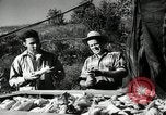 Standbild landwirtschaftlichen Tätigkeiten Southville Kentucky USA, 1950, aus Sekunde 22 historischem Filmmaterial Videoclip 65675029785