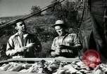 Standbild landwirtschaftlichen Tätigkeiten Southville Kentucky USA, 1950, aus Sekunde 23 historischem Filmmaterial Videoclip 65675029785