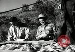 Standbild landwirtschaftlichen Tätigkeiten Southville Kentucky USA, 1950, aus Sekunde 25 historischem Filmmaterial Videoclip 65675029785