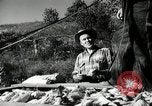 Standbild landwirtschaftlichen Tätigkeiten Southville Kentucky USA, 1950, aus Sekunde 26 historischem Filmmaterial Videoclip 65675029785