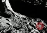 Standbild landwirtschaftlichen Tätigkeiten Southville Kentucky USA, 1950, aus Sekunde 27 historischem Filmmaterial Videoclip 65675029785