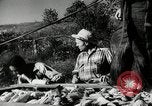 Standbild landwirtschaftlichen Tätigkeiten Southville Kentucky USA, 1950, aus Sekunde 29 historischem Filmmaterial Videoclip 65675029785