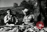 Standbild landwirtschaftlichen Tätigkeiten Southville Kentucky USA, 1950, aus Sekunde 30 historischem Filmmaterial Videoclip 65675029785