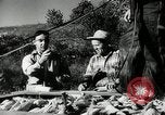 Standbild landwirtschaftlichen Tätigkeiten Southville Kentucky USA, 1950, aus Sekunde 32 historischem Filmmaterial Videoclip 65675029785