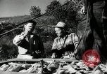 Standbild landwirtschaftlichen Tätigkeiten Southville Kentucky USA, 1950, aus Sekunde 33 historischem Filmmaterial Videoclip 65675029785