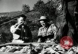 Standbild landwirtschaftlichen Tätigkeiten Southville Kentucky USA, 1950, aus Sekunde 34 historischem Filmmaterial Videoclip 65675029785