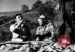 Standbild landwirtschaftlichen Tätigkeiten Southville Kentucky USA, 1950, aus Sekunde 35 historischem Filmmaterial Videoclip 65675029785