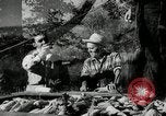 Standbild landwirtschaftlichen Tätigkeiten Southville Kentucky USA, 1950, aus Sekunde 36 historischem Filmmaterial Videoclip 65675029785