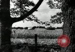 Standbild landwirtschaftlichen Tätigkeiten Southville Kentucky USA, 1950, aus Sekunde 37 historischem Filmmaterial Videoclip 65675029785