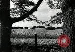 Standbild landwirtschaftlichen Tätigkeiten Southville Kentucky USA, 1950, aus Sekunde 38 historischem Filmmaterial Videoclip 65675029785